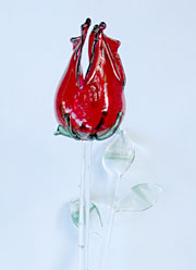 Glasrose