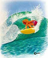 Surfer